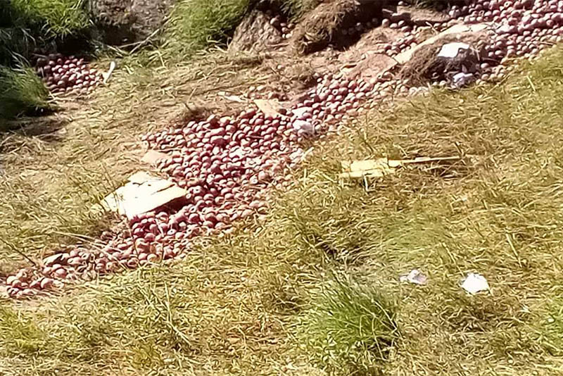 जुम्लामा स्याउ बोकेको ट्रक दुर्घटना हुँदा एक जनाको मृत्यु